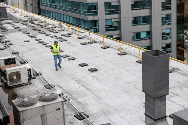 Best Roof Maintenance and Cleaning  in Bulverde, TX