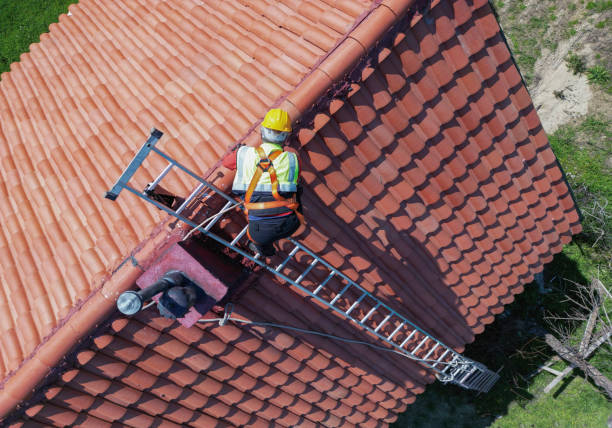 Best Asphalt Shingles Roofing  in Bulverde, TX
